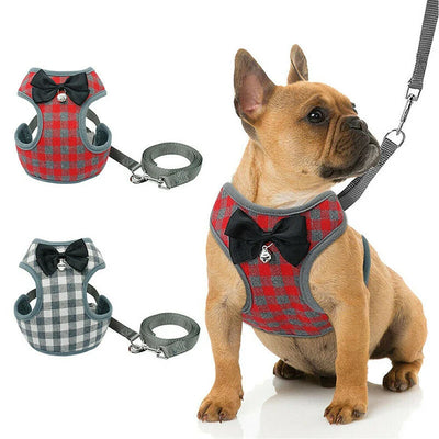 Correa para Perro - Image 5