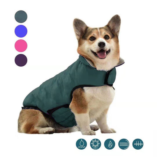 Ropa de Algodón para Perros Otoño e Invierno - Image 8