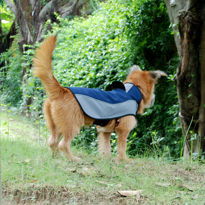 Impermeable Térmico para Perros - Traje de Tormenta Transpirable - Image 8