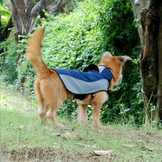 Impermeable Térmico para Perros - Traje de Tormenta Transpirable - Image 8