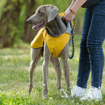 Impermeable para Mascotas Talla Mediana y Grande - Portátil y Universal