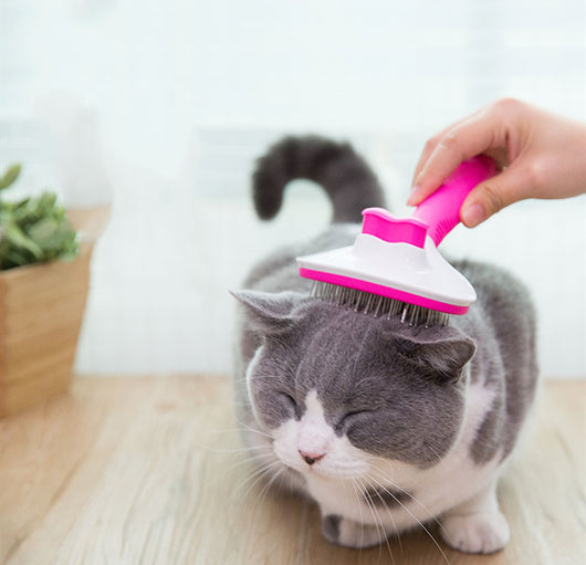 Peine Deslanador para Gatos de Pelo Largo - Image 10