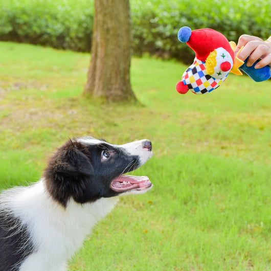 Juguete de Peluche Interactivo Circo para Perros con Sonidos y Resistencia - Image 3