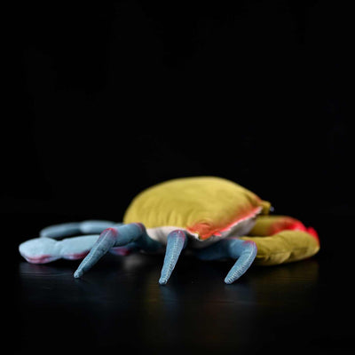 Peluche Cangrejo Gigante - Juguete Ultra Suave para Todas las Edades - Image 7