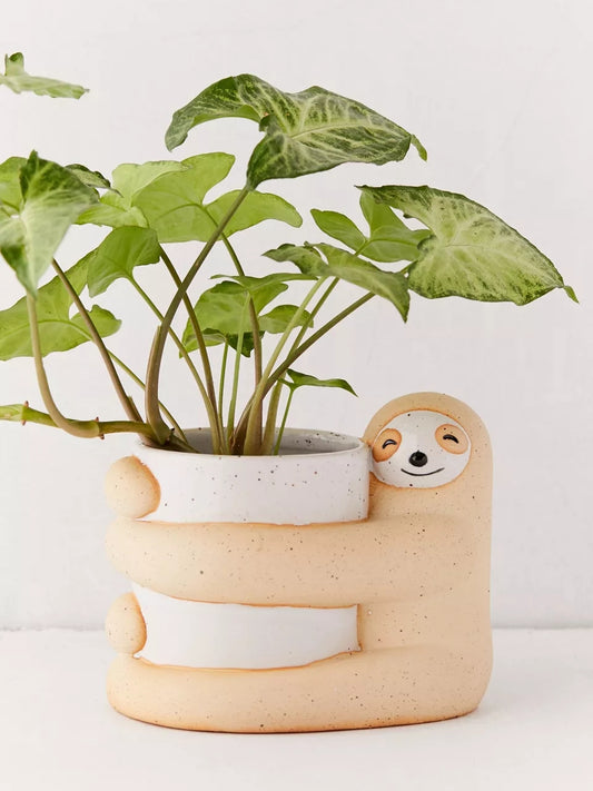Maceta de Plantas Verdes Decorativa - Diseño Creativo y Ecológico