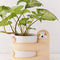 Maceta de Plantas Verdes Decorativa - Diseño Creativo y Ecológico