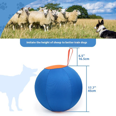 Blue and orange pet training ball with a fabric handle, designed for dogs like Shiba Inu and Corgi. - Image 3