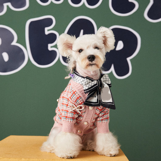 Suéter Cardigan Perfumado Teddy Fadou para Mascotas Pequeños - Image 2