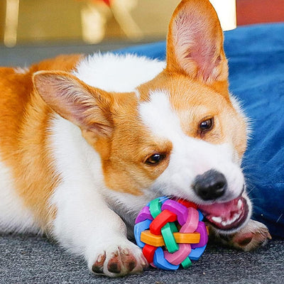 Pelotas Interactivas con Luz y Sonido para Perros y Gatos - Image 5