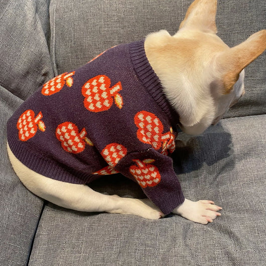 Suéter Cálido para Mascotas - Otoño e Invierno - Image 7