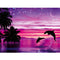 Imagem Colorida 15 x 20 cm Redonda