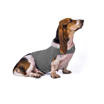 Chaleco Calmante para Mascotas - Ropa Terapéutica Antiansíedad para Gatos y Perros - Image 3