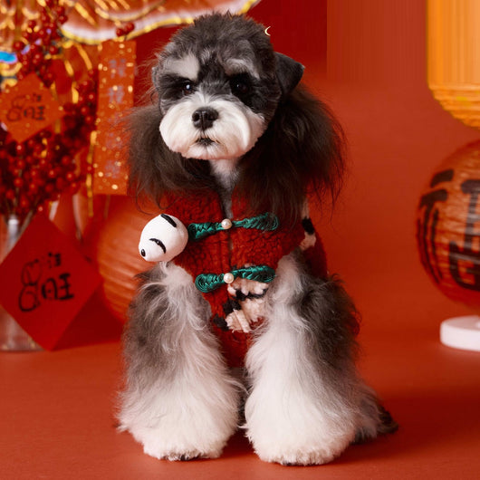 Ropa Festiva Tony Bear para Perro - Diseño Año Nuevo Chino Rojo - Image 11
