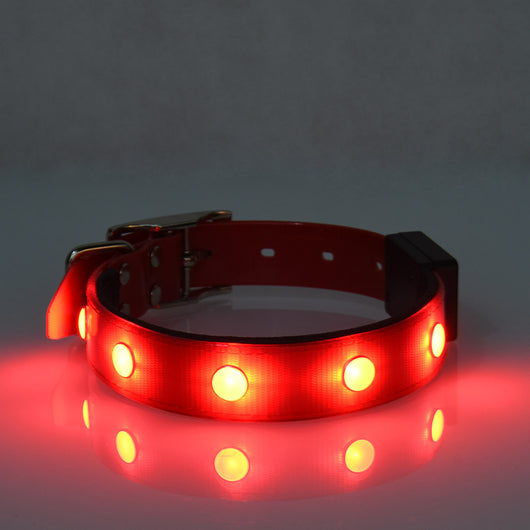 Collar Luminoso Impermeable Ajustable para Gatos y Perros - Image 10