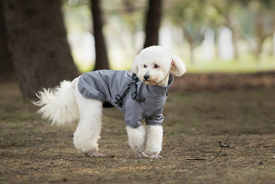 Impermeable para Perros Pequeños y Medianos con Arnés Integrado - Image 18
