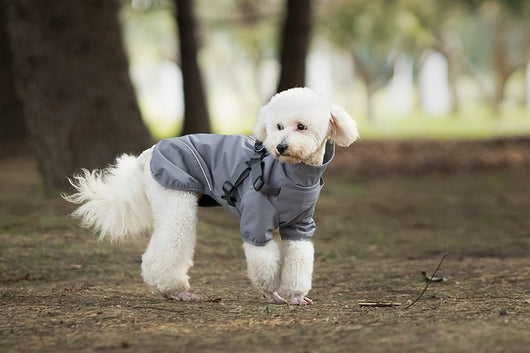 Impermeable para Perros Pequeños y Medianos con Arnés Integrado - Image 18