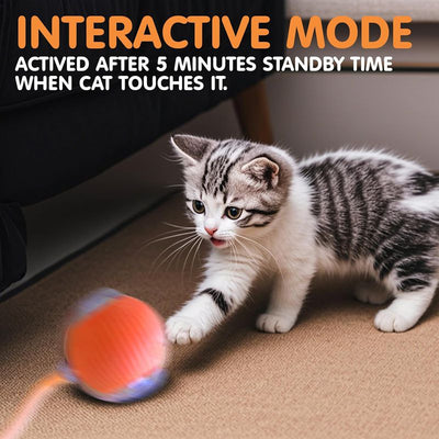 Blue and clear interactive cat ball toy with a rope, shown with three playful cats in the background. - Image 24
