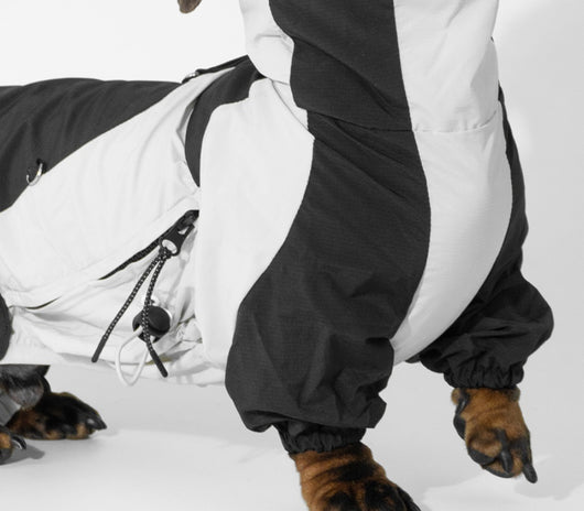 Ropa de Invierno a Juego para Mascotas - Image 11