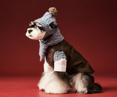 Gorro y Bufanda de Lana para Mascotas - Conjunto Abrigador para Perros - Image 13