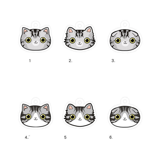 Placa de Identidad Personalizada para Gatos con Cascabel