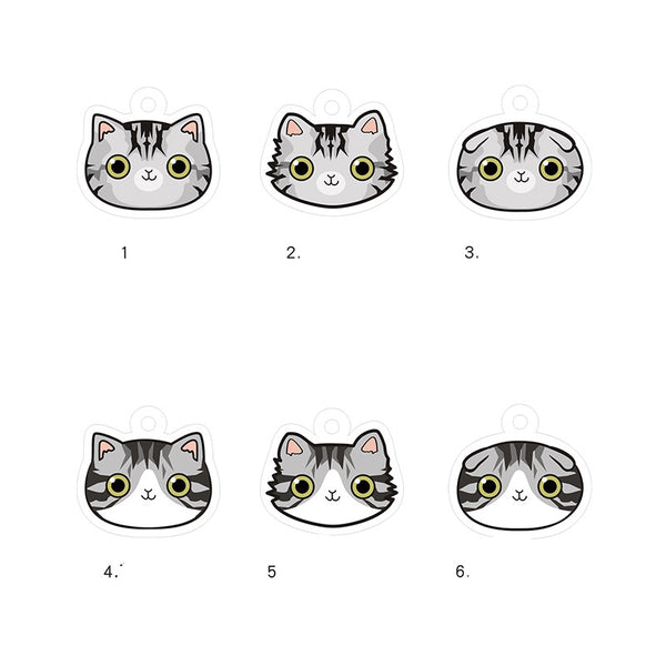 Placa de Identidad Personalizada para Gatos con Cascabel