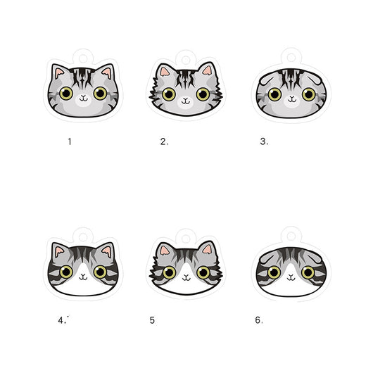 Placa de Identidad Personalizada para Gatos con Cascabel