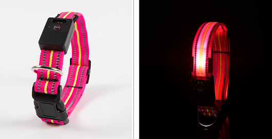 Collar Inteligente para Mascotas con Fibra Óptica, Impermeable y Carga Magnética - Image 13