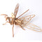 Mantis