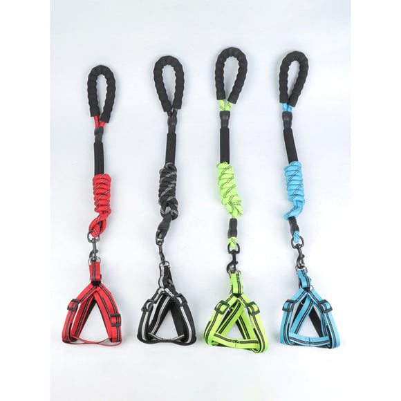 Correa Extensible Reflectante para Perros