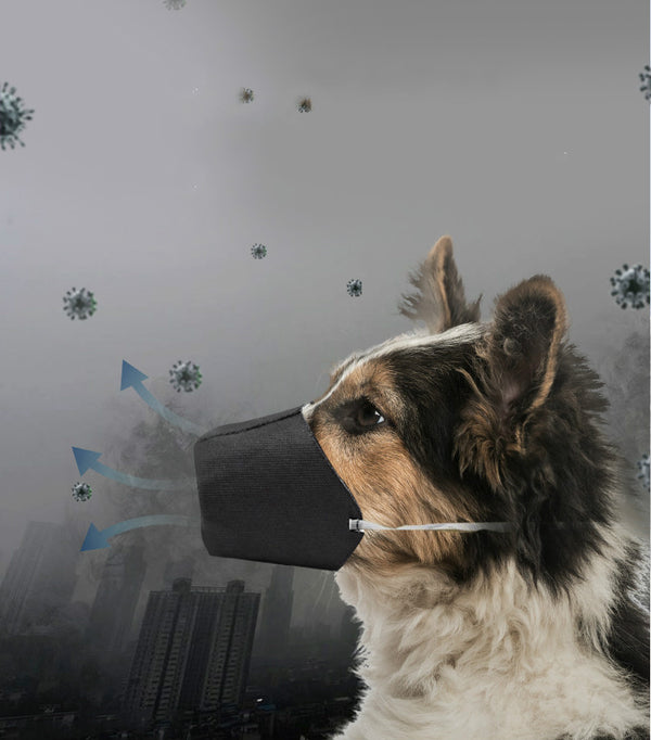 Protector Bucal para Mascotas al Aire Libre
