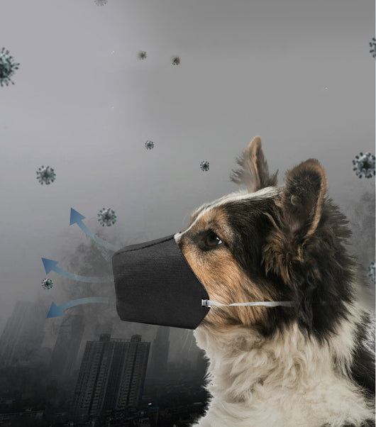 Protector Bucal para Mascotas al Aire Libre