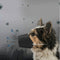 Protector Bucal para Mascotas al Aire Libre