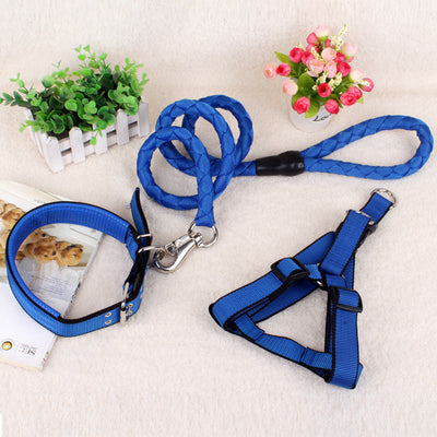 Cadena Reforzada de Tres Piezas para Perros - Image 17