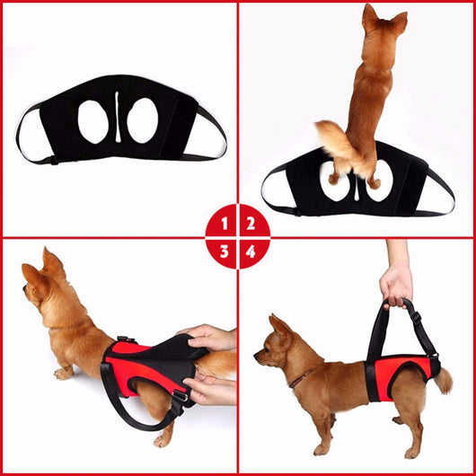 Arnés de Apoyo para Perros Lesionados con Soporte de Hombro - Image 4
