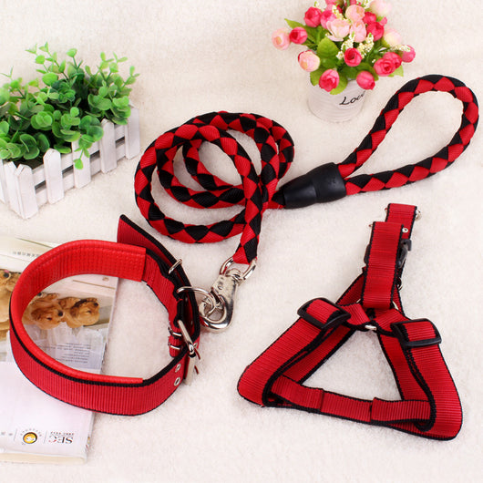 Cadena Reforzada de Tres Piezas para Perros - Image 18