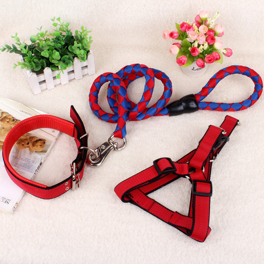 Cadena Reforzada de Tres Piezas para Perros - Image 20