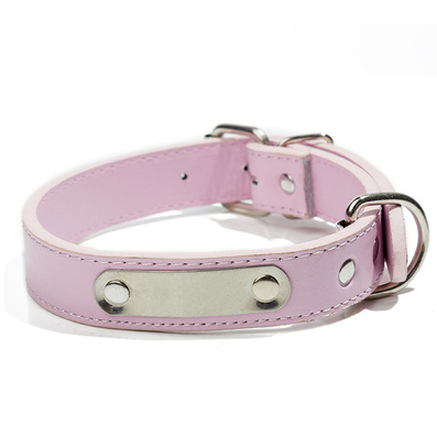 Collar Personalizado para Mascota con Placa de Identificación Grabada