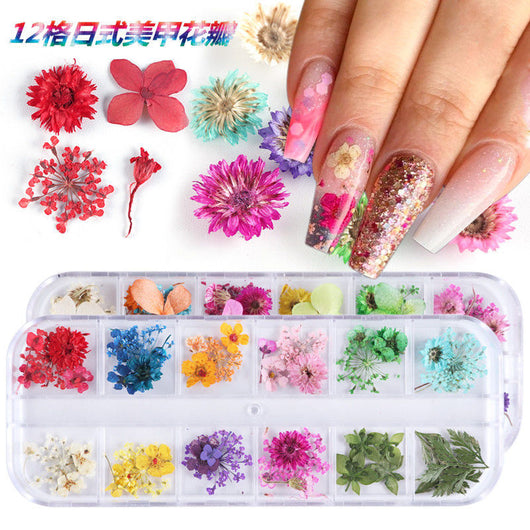 Flores Secas para Nail Art - Image 8