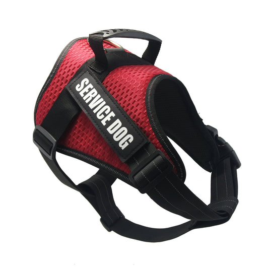 Arnés Personalizado para Mascotas - Image 13