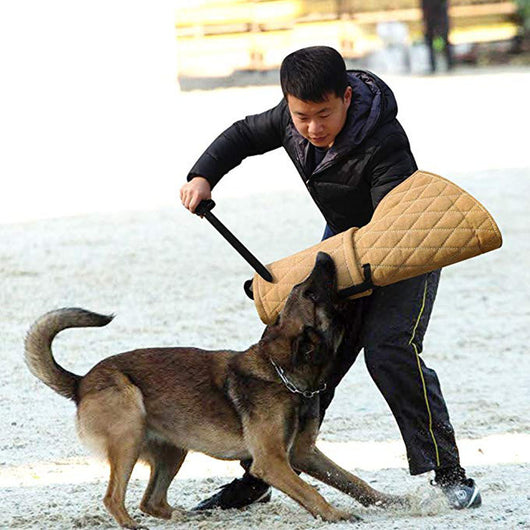Mangas de Entrenamiento Canino Profesionales - Image 17