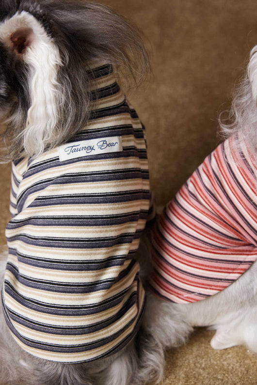 Camiseta Interior Ajustada para Perros Maltés y Schnauzer - Tejido Hipoalergénico - Image 19