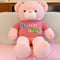 Urso Com Suéter Rosa 75 Cm