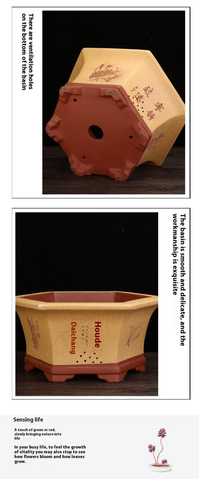 Maceta Hexagonal de Barro Yixing Púrpura Grande para Bonsái y Plantas de Sala - Image 13