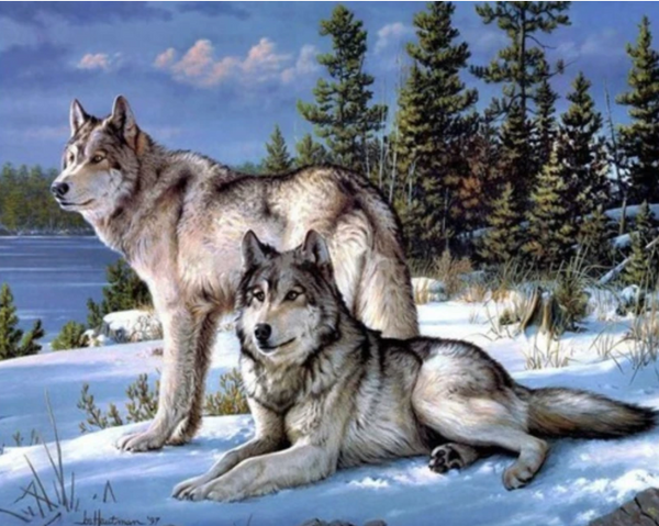 Pintura de Diamantes 5D - Lobo en la Nieve