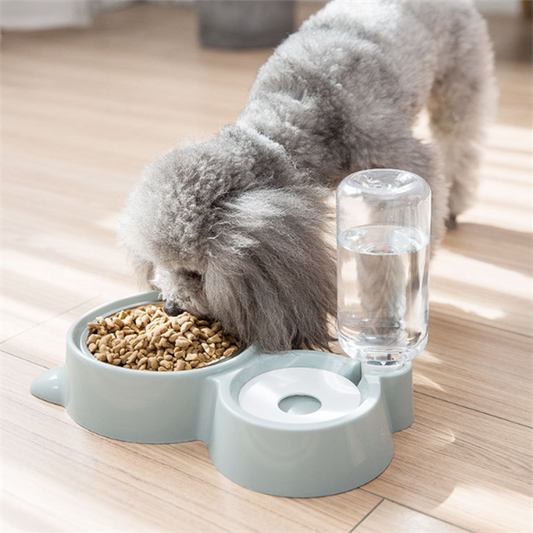 White pet feeding station with a stainless steel food bowl and a clear automatic water dispenser bottle.