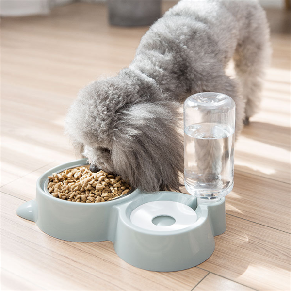White pet feeding station with a stainless steel food bowl and a clear automatic water dispenser bottle.