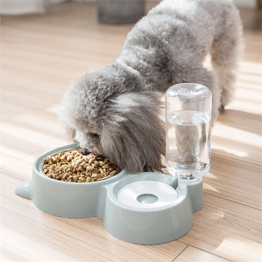 White pet feeding station with a stainless steel food bowl and a clear automatic water dispenser bottle.