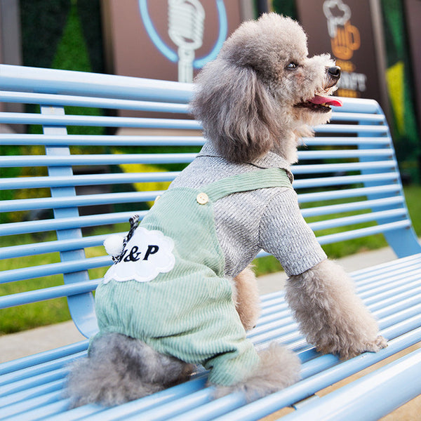Overol Delgado para Perros Pequeños - Ropa de Cuatro Patas