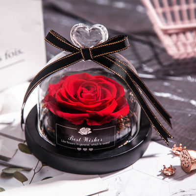 Rosas Eternas con LED en Vidrio - Flores Secas para Decoración y Regalos - Image 11