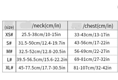 Arnés de Pecho con Correa para Perros - Sistema Completo de Seguridad - Image 9
